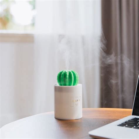 Kehuo Cactus Humidifier With Night Light Mini Cool Mist 280ml USB