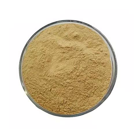 Passionflower Extract Passiflora Incarnata Extract Powder Plant Extracts Manufacturer