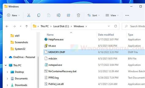 Windows Dump File Location