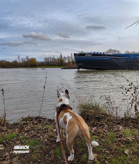 A Weng Naus Rennradtour Mit Kaltem Wind Und Mit Emma Gassi