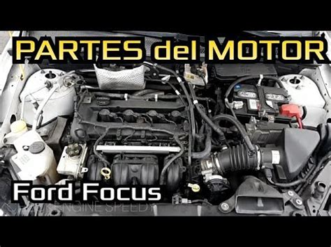 Partes Componentes Del Motor Ford Focus Youtube