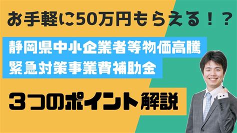 静岡県中小企業者等物価高騰緊急対策事業費補助金 3つのポイント解説静岡県の事業者様必見 YouTube