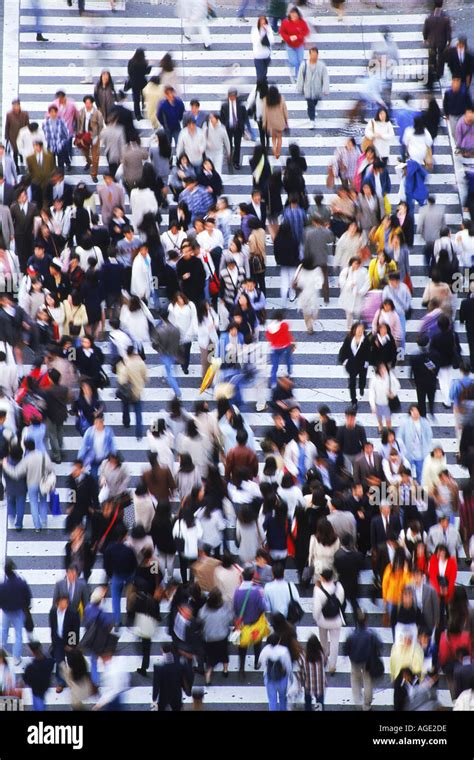 Los Peatones Llenando El Paso De Peatones En El Distrito De Shibuya De