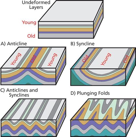 Pin By Nutcracker On Geology Fold Geology Geology Activities Geology