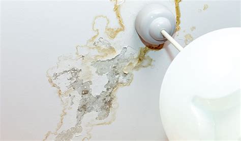 Roof Repair: What Causes a Leaking Roof?