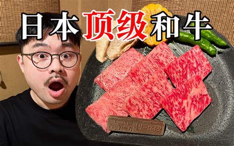 在日本顶级和牛吃到饱，到底要花多少钱？ 渣叔爱酒 渣叔爱酒 哔哩哔哩视频