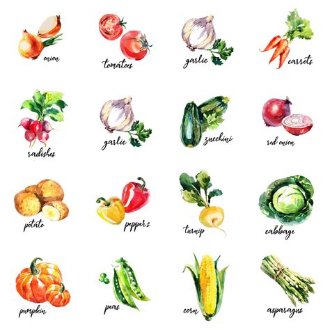 16 Free Watercolour Vegetable Kitchen Printables Worksheets Library