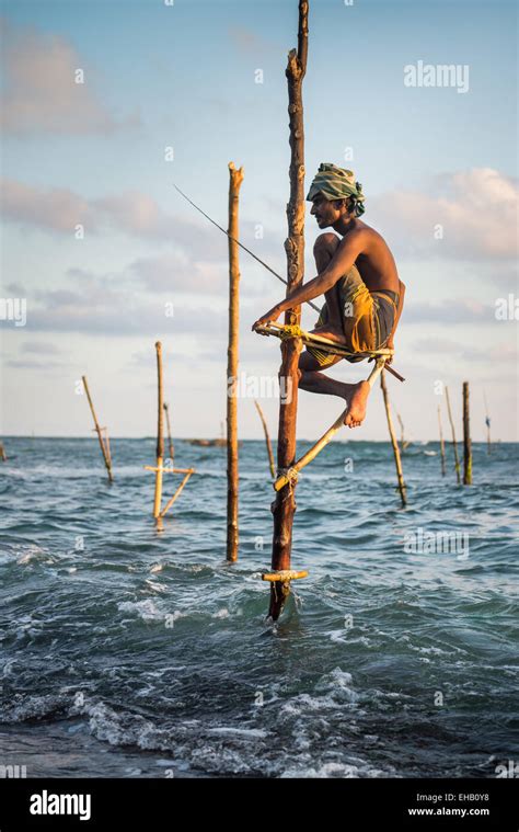 Traditional Stilt Fisherman Kogalla Sri Lanka Stock Photo Alamy