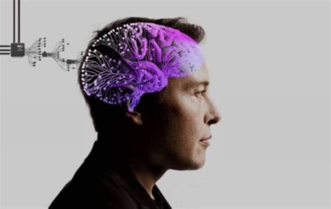 Elon Musks Neuralink Brain Chip What Is It And Whats Next