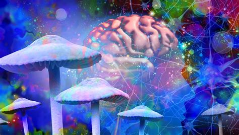 Unlocking The Potential Of Psychedelics As Medicine Past Obstacles And