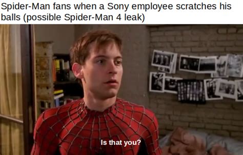 Making a meme of every quote from Spider-Man: Day 1001 : raimimemes