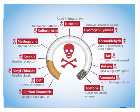 How Smoking and Nicotine Damage Your Body - FV Hospital