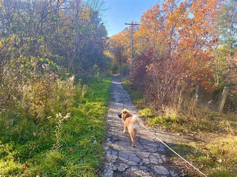 Eighteen Mile Creek Conservation Park Hamburg NY Adventures In New