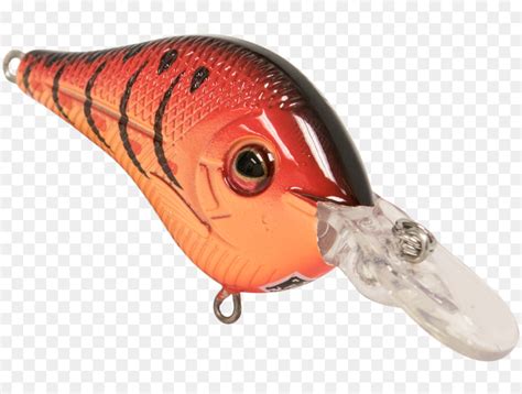 A Pesca De Iscas Iscas Bico Pesca Png Transparente Gr Tis