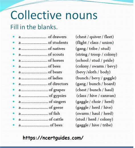 Collective Nouns Worksheet For Class 6 Ncert Guides