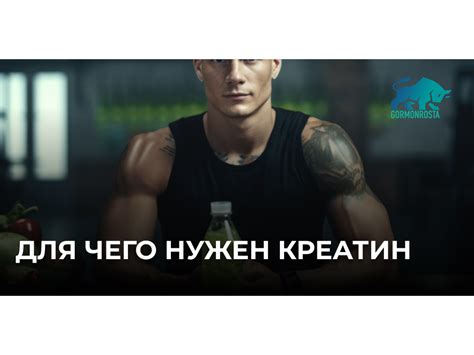 Креатин: питание, как принимать, основные и побочные эффекты препарата