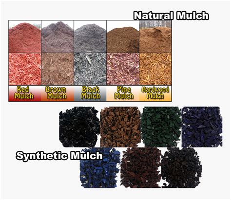 Mulches - Different Types Of Mulch, HD Png Download - kindpng