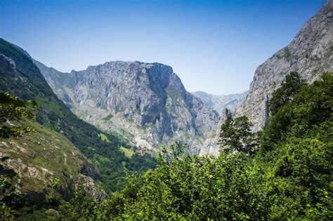 Premium Photo Mountain Landscape Picos De Europa Asturias Spain