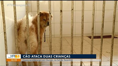 Menina Atacada Por Cachorro Em Gurupi Teve Ferimentos Nas Pernas