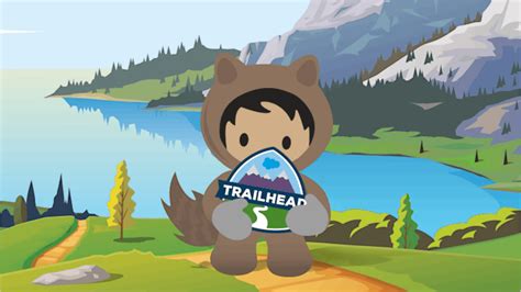 What Is Salesforce Trailhead Postureinfohub