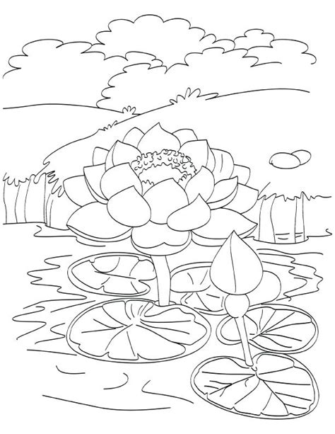 Pond Coloring Pages At Free Printable Colorings