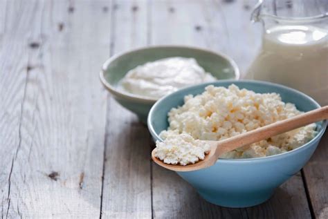 Cottage Cheese Vs Greek Yogurt Spiceography Showdown