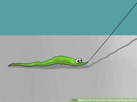 How to Do Tricks with Your Fuzzy Magic Worm (with Pictures)