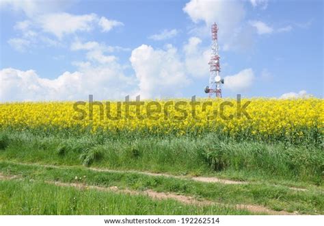 5,509 Cell Tower Green Royalty-Free Photos and Stock Images | Shutterstock