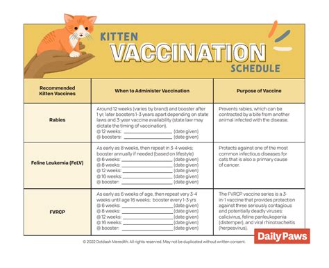 Kitten Vaccination Schedule - Dotdash Meredith Download Printable PDF | Templateroller