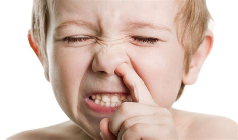 Is Eating Your Boogers Good For You? | Gizmodo Australia