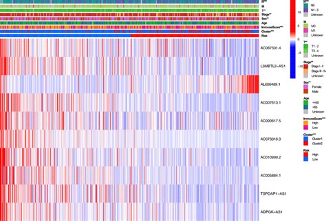 Heatmap Analysis Of The Two Risk Sets In All Patients The Figure Shows Download Scientific