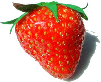 Botany Professor: Why are the seeds on the outside of a strawberry?