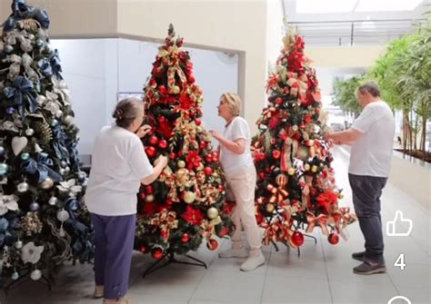 Rede Rio Clarense Carmem Prudente Clube do Siri cria árvores de Natal