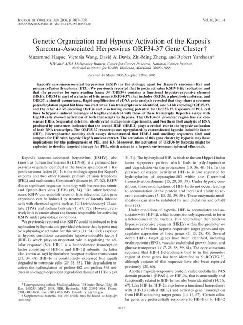 Pdf Genetic Organization And Hypoxic Activation Of The Kaposis