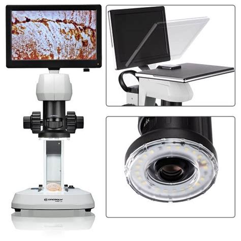 Acheter Un Microscope Professionnel Loisirs Plaisirs