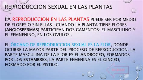 Comparaci N Entre Reproducci N Sexual Y Asexual Ppt