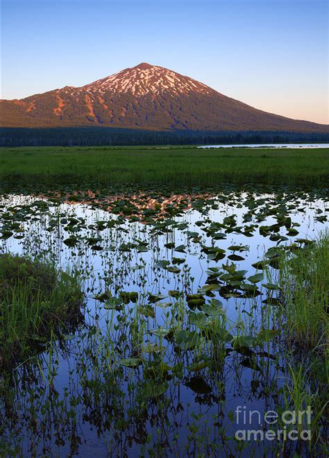 Mt Bachelor Sunset Photograph By Michael Dawson Fine Art America