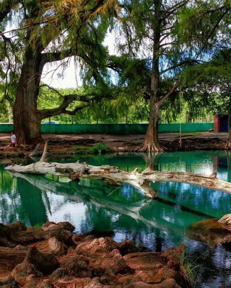 Los Ahuehuetes Un Balneario Al Natural Cover Media