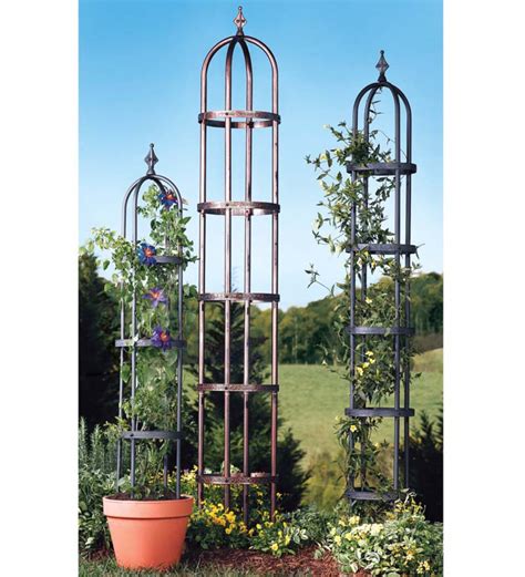 Powder Coated Steel Garden Obelisks And Basket Planter Ts For Gardeners T Ideas