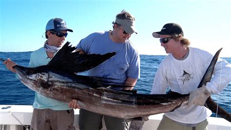 Incredible Florida Sailfish Fishing Double Digit Day Youtube