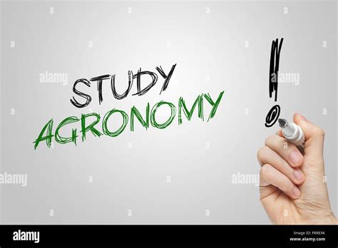 Hand Writing Study Agronomy On Grey Background Stock Photo Alamy