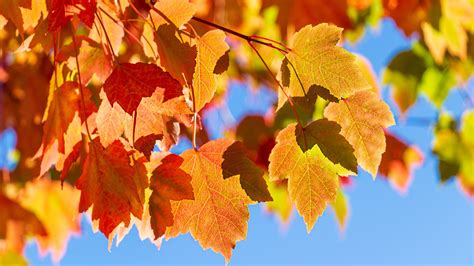 When Is The First Day Of Fall The Autumnal Equinox Explained