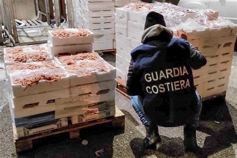 Operazione Senza Traccia Controlli Rafforzati Sulla Filiera Della Pesca