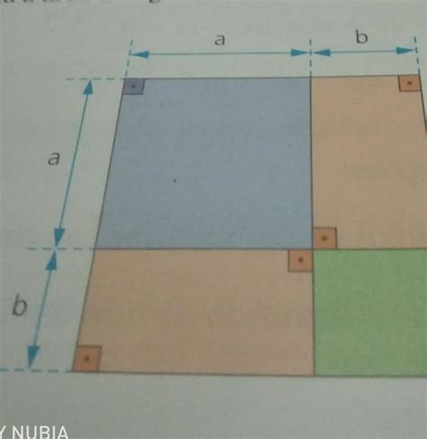 Escreva No Caderno O Polin Mio Que Representa Rea Da Figura Abaixo