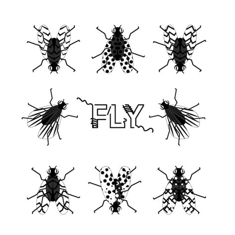 Fly Noir Et Blanc Vector Illustration Image Fantastique Insecte