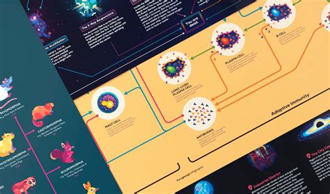 Timeline Of Evolution Infographic Poster The Kurzgesagt Shop