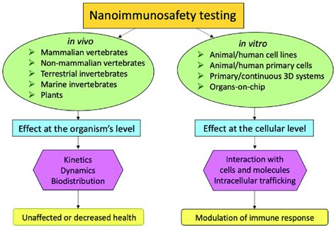 In Vivo And In Vitro Models For Nanoimmunosafety Testing The In Vivo