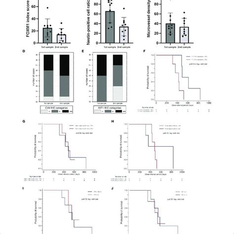 Comparison Of Expression Of Foxm1 Tumor Vascularity And Tumor