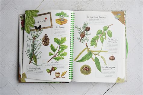 Un Herbier Pour Les Enfants Maman Tout Faire