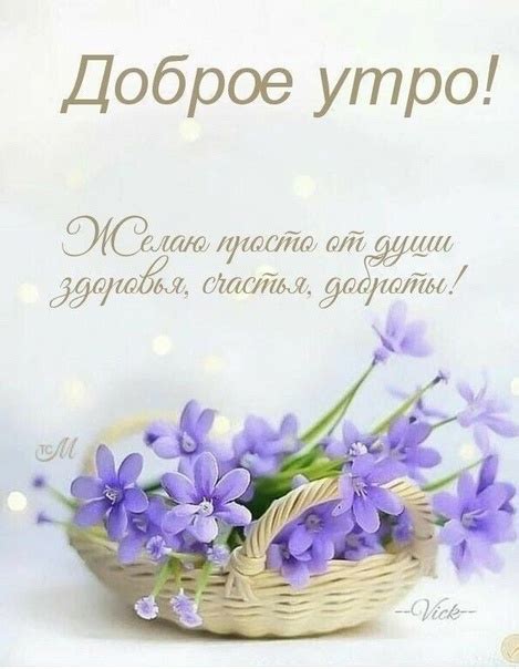 | Цветы | Растения | Киров | VK